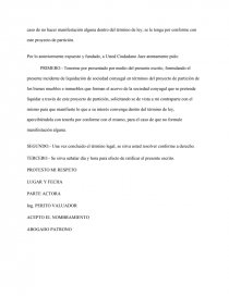 INCIDENTE DE LIQUIDACION DE SOCIEDAD CONYUGAL - Ensayos Gratis - John0099