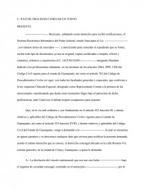 Modelo de Demanda de Divorcio. - Ensayos para estudiantes - Mikki