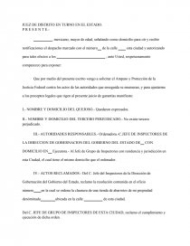 MODELO DE AMPARO CONTRA ORDEN DE CLAUSURA DE UN NEGOCIO. - Documentos de  Investigación - Ledesma