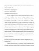 REPORTE INFORMATIVO: LABORATORIO DE CIRCUITOS ELECTRICOS GUIA 1,2 y 3