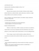 ACTIVIDAD DE CLASE ORGANIZACIÓN: INDUSTRIAS TORRICO ANTELO “ITA”
