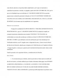 INCIDENTE DE LIQUIDACION DE PENSIONES ALIMENTICIAS VENCIDAS Y NO PAGADAS. -  Ensayos - Ninoka
