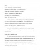 SISTEMA DE GESTION DE CALIDAD. CONCEPTOS BASICOS DE SISTEMAS (S.I.)