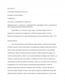 Analisis SURGIMIENTO Y DESARROLLO DE LA DISCIPLINA DE LAS RELACIONES INTERNACIONALES.