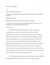 Contestación demanda guarda y custodia estado de mexico - Ensayos Gratis -  mondoro
