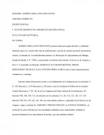 AMPARO INDIRECTO CONTRA ORDEN DE APREHENSIÓN EN PUEBLA - Ensayos para  estudiantes - klimbo3445
