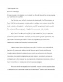 Tejido Muscular Liso - Estructura e Histología