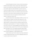 Corrientes Historiográficas: Historicismo: revisión de la vida de los sujetos históricos.