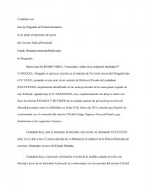 MODELO DE REVISION DE MEDIDA PRIVATIVA DE LIBERTAD. - Ensayos para  estudiantes - Rimma