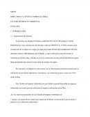 MINES OBRA: DIQUE Y CENTRAL HIDROELECTRICA ESTUDIO DE IMPACTO AMBIENTAL