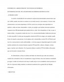 INFORME DE LABORATORIO DE TECNOLOGIA DE BEBIDAS DETERMINACION DEL PH, GRADOS BRIX DE BEBIDAS REFRESCANTES