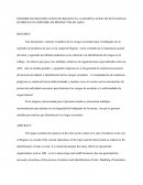 INFORME DE IDENTIFICACION DE RIEGOS EN LA MANIPULACION DE SUSTANCIAS QUIMICAS EN EXPENDIO DE PRODUCTOS DE ASEO