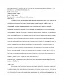 ESTUDIO DE ACEPTACIÓN DE UN CENTRO DE ALMACENAMIENTO FÍSICO A LAS PYMES.