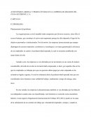 AUSENTISMO LABORAL Y PRODUCTIVIDAD EN LA EMPRESA BLINDADOS DEL ZULIA OCCIDENTE, C.A.