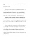 Historia de la psicología: sistemas escuelas y movimientos ANTONIO SANCHEZ- BARRACO RUIZ.