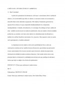 CAPÍTULO III.- ESTUDIO TÉCNICO Y AMBIENTAL