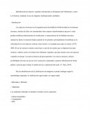Analisis Multitemporal Arenal Chimborazo