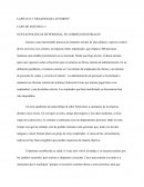 CAPITULO 2 “DESAFIOS DEL ENTORNO” CASO DE ESTUDIO 2-1 NUEVAS POLITICAS DE PERSONAL EN COBRES INDUSTRIALES