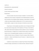 DESCRIPCIÓN DE LA ORGANIZACIÓN -Escritorio Jurídico Zoraya Guevara Campos.