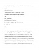 Comprobación de Hipótesis de Eficiencia de Mercado en su Forma Débil Aplicado al Caso del Mercado Accionario Colombiano