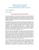 PLAN NACIONAL DE CULTURA DEL ECUADOR