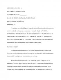 MEDIO PREPARATORIO A JUICIO EJECUTIVO MERCANTIL - Documentos de  Investigación - Ninoka