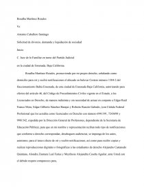 Solicitud de divorcio, demanda y liquidación de sociedad - Ensayos de  Calidad - Albert