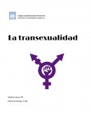 La transexualidad ensayo