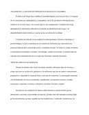ANALISIS DE LA GESTIÓN DE RIESGOS NATURALES EN COLOMBIA