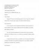 TRABAJO CLICLO I COMPRENCION DEL CVN