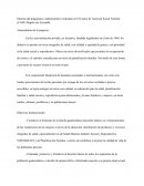 Un Informe del diagnóstico Administrativo realizado en El Centro de Atención Social Familiar (CASF) Región sur Escuintla.