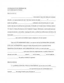 FORMATO DE DEMANDA DE DIVORCIO INCAUSADO - Ensayos - tolero