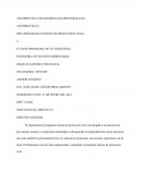 ANTEPROYECTO DE RESIDENCIAS PROFESIONALES - EL PASS (PROGRAMA DE AUTOGESTION)