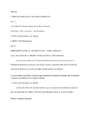 Tema: ANALISIS DE LA PRODUCTIVIDAD CON EL HISTOGRAMA