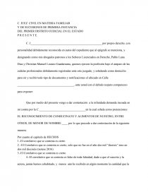 Incidente reduccion de pension - Ensayos - Sandra75