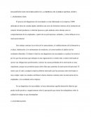 DIAGNÓSTICO DE NECESIDADES EN LA EMPRESA DE COMIDA RAPIDA (TOBY)