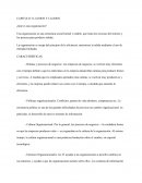 Laudon y laudon capitulo 3
