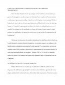 CAPITULO 4 “BENEFICIOS Y CONSECUENCIAS DE LOS ALIMENTOS TRANSGÉNICOS”