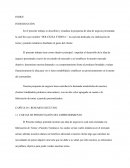 CAPÍTULO I: RESUMEN EJECUTIVO 1.1 CARTAS DE PRESENTACIÓN DEL EMPRENDIMIENTO
