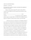 DECLARACION DE LA CIUDADANA CRISTEL ALEJANDRA ZETINA BARRIENTOS (TESTIGO DE LOS HECHOS)