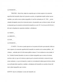 INCIDENTE DE RECTIFICACIÓN DE EXTENSIÓN SUPERFICIAL, MEDIDAS Y COLINDANCIAS  - Informe de Libros - Christopher