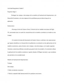 ACTIVIDAD INTEGRADORA. Distinguir las ventajas y desventajas de los modelos  de Sustitución de Importaciones y de Desarrollo Económico - Ensayos - karlo