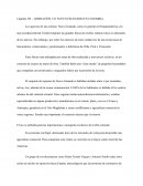 Capítulo VII – LIBERACIÓN, UN NUEVO ESCENARIO EN COLOMBIA