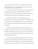 DEFINICIONES DE DERECHO PROCESAL E IMPORTANCIA CONSTITUCIONAL