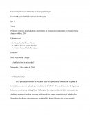 Protocolo Genérico para Auditorías Ambientales en instalaciones Industriales en Hospital Cesar Amador Molina, 2016