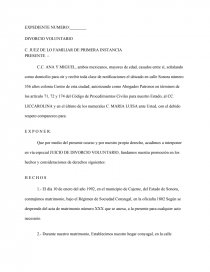 CUAL ES EL NUEVO FORMATO DE DEMANDA DIVORCIO VOLUNTARIO - Ensayos para  estudiantes - Kate