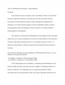 Tema 16: Metabolismo del Glucógeno - Glucogenogénesis