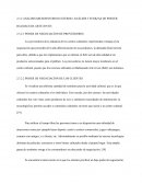 ANÁLISIS MICROENTORNO EXTERNO/ ANÁLISIS 5 FUERZAS DE PORTER