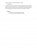 Informe 10: Moho gris y pudrición de Rhizopus en frutilla