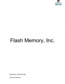 Caso Flash Memory Inc